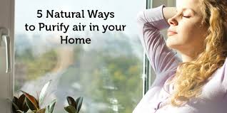 How Can I Purify Air Naturally at Home?